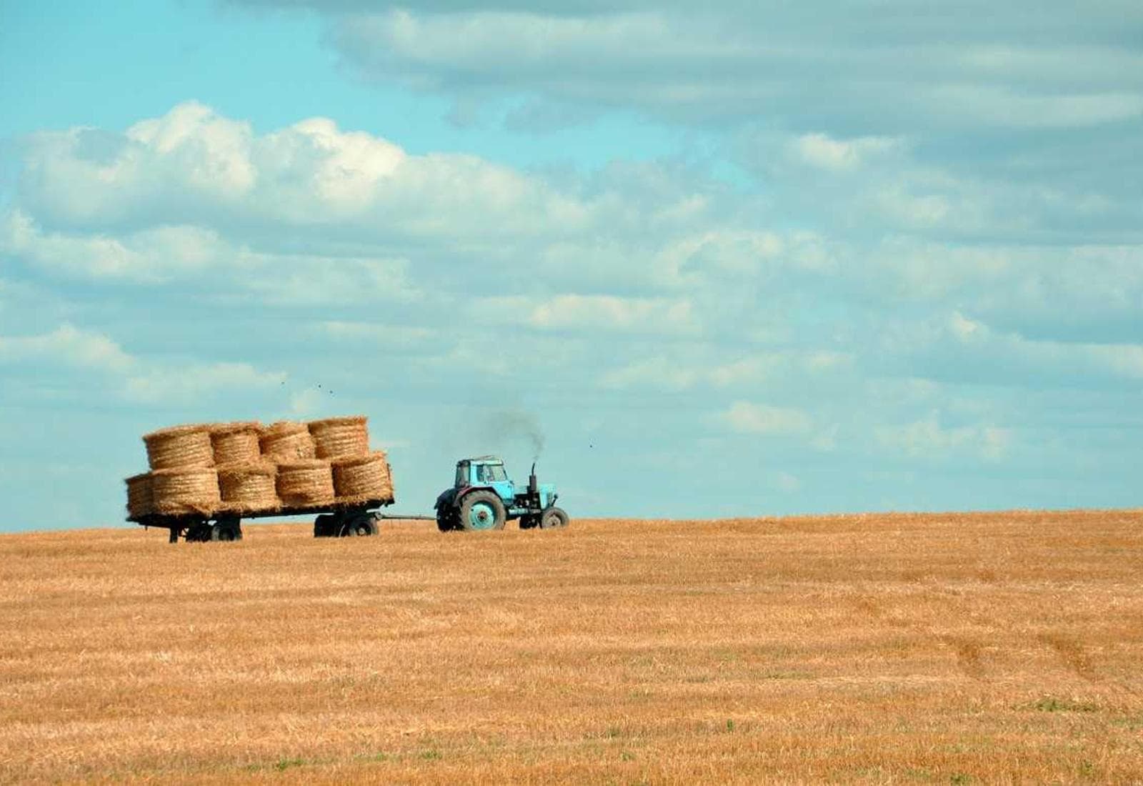 Farmland with hay bales under a blue sky