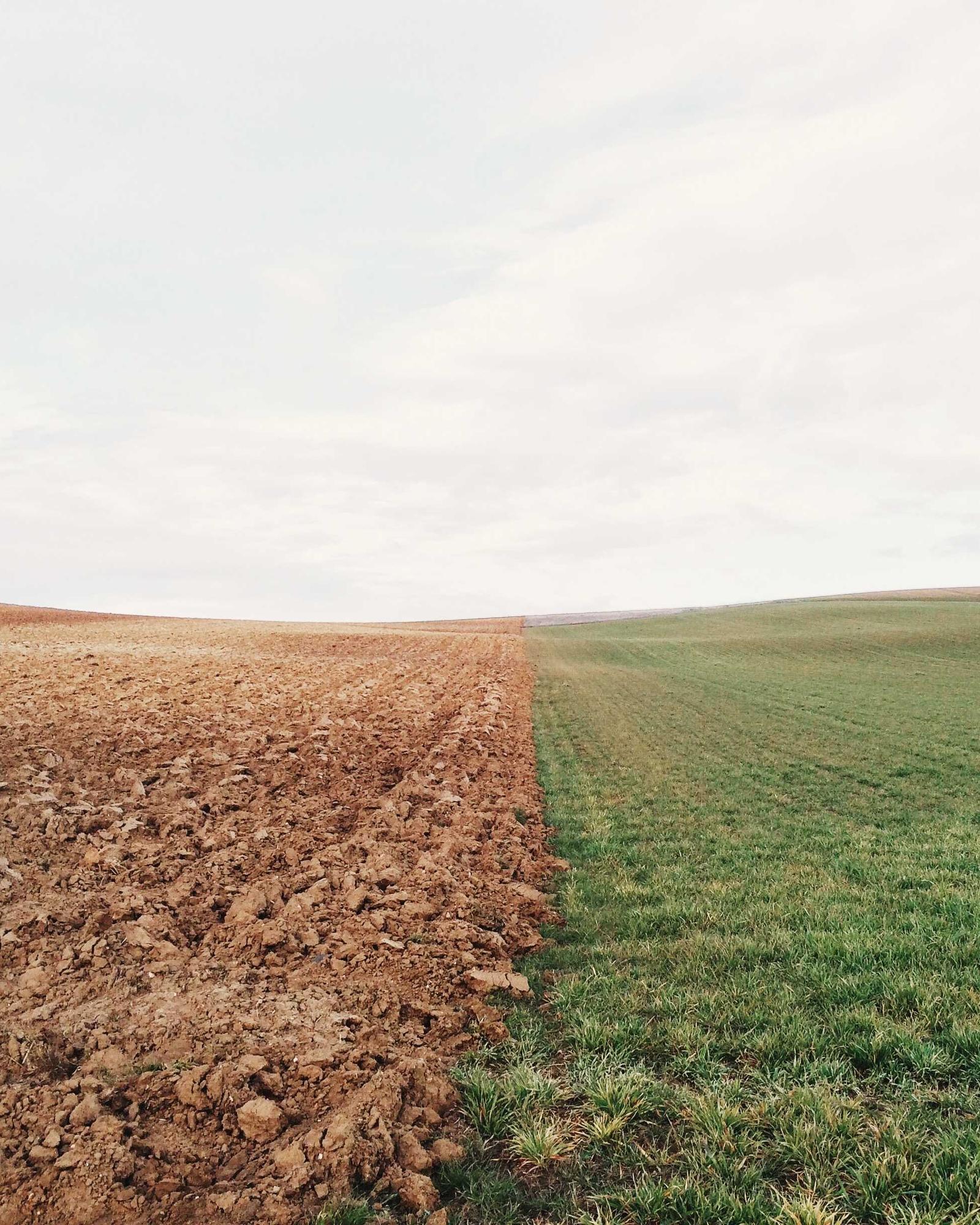 Cleared land at the edge of a field